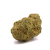 INDOOR | <b>GORILLA US</b>