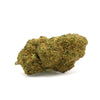 INDOOR | <b>GORILLA US</b>
