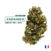 Pack Outdoor - Made in Normandie