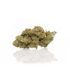 INDOOR | <b>AMNESIA</b>