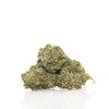 GREENHOUSE | <b>SMALL BUDS</b>