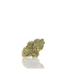 GREENHOUSE | <b>SMALL BUDS</b>