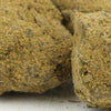 EXTRA-FORT | <b>MOONROCK GELATO</b>