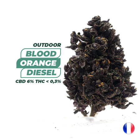 OUTDOOR | <b>BLOOD ORANGE DIESEL</b>