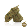 WHITE WIDOW  | <b>GREENHOUSE</b>