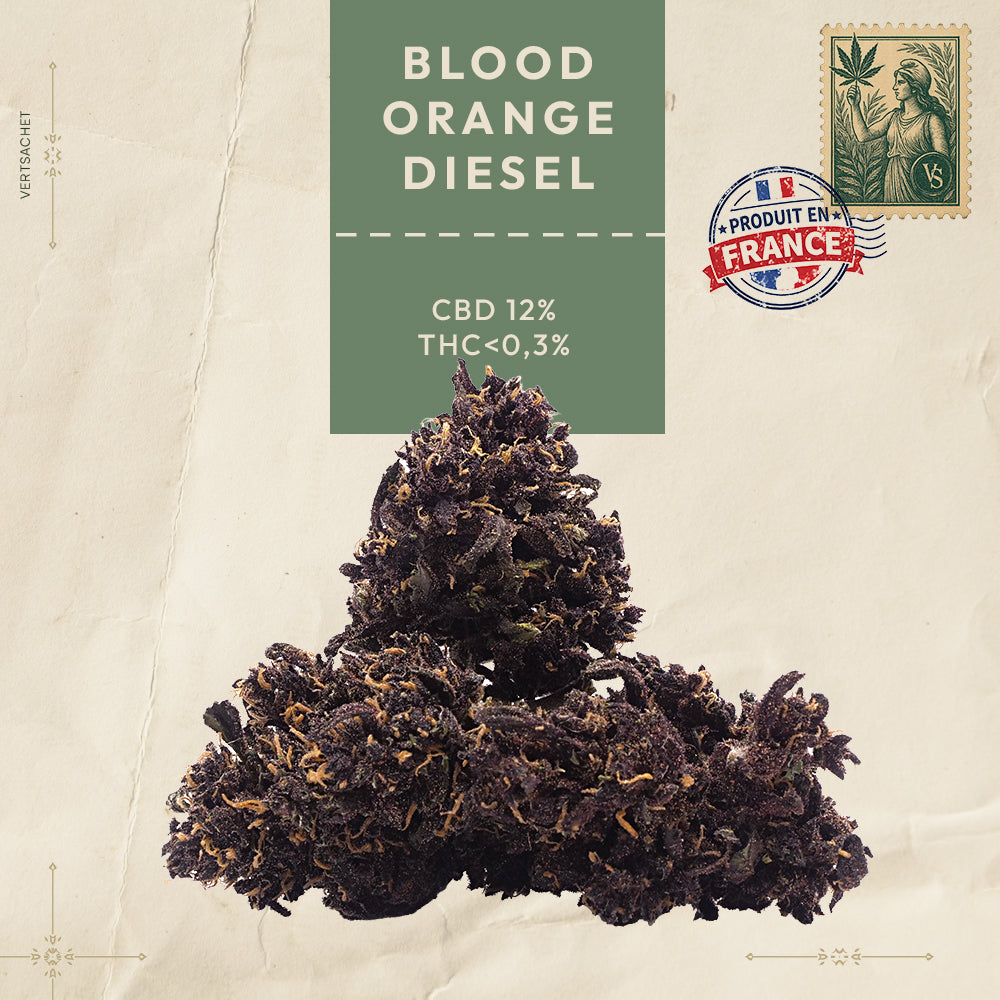 BLOOD ORANGE DIESEL