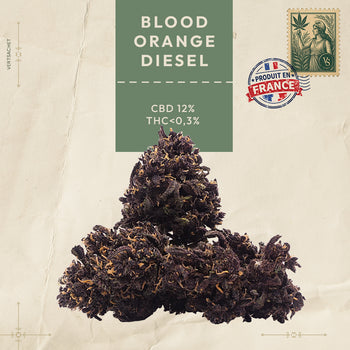 BLOOD ORANGE DIESEL