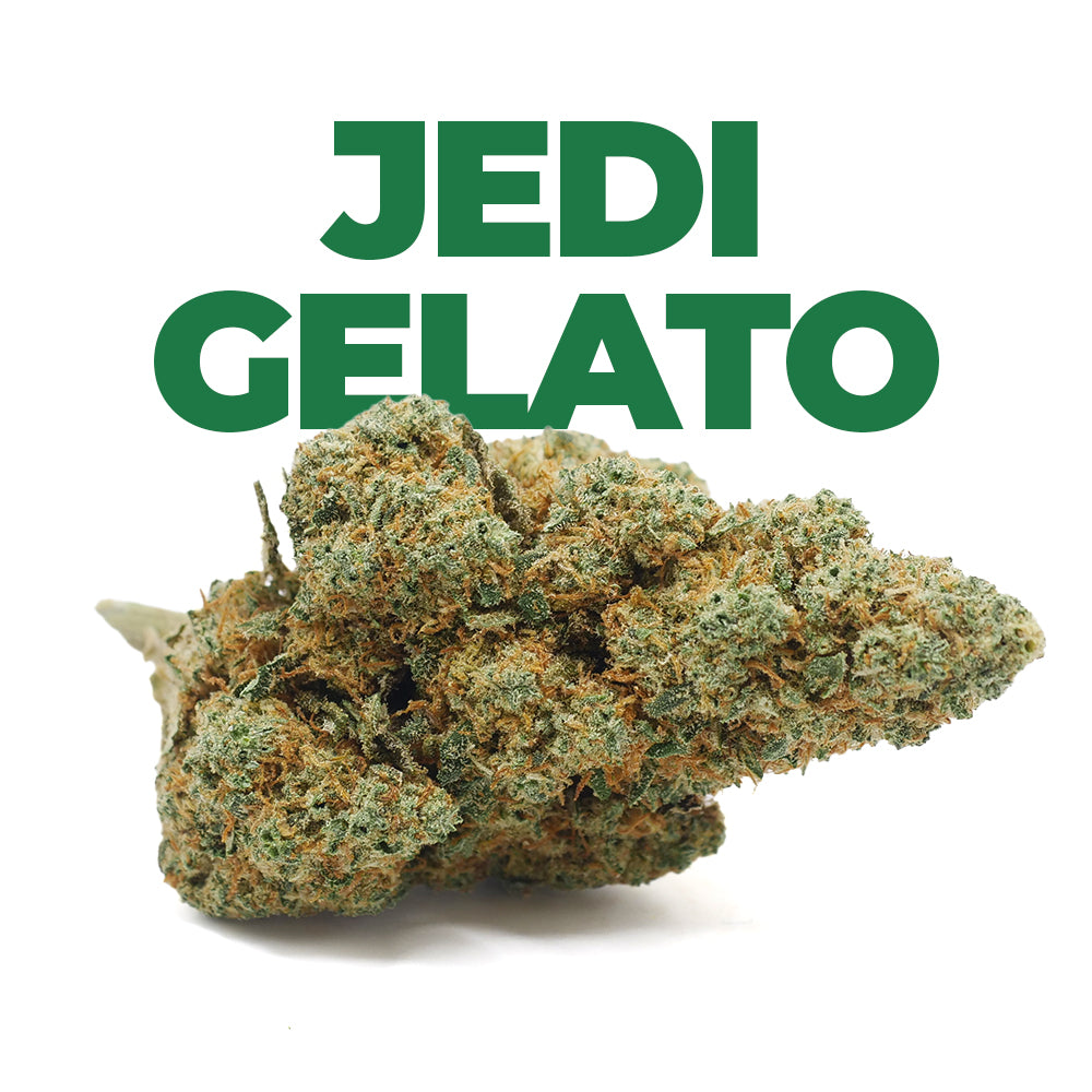 INDOOR | <b>JEDI GELATO</b>