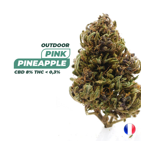 OUTDOOR | <b>Pink Pineapple</b>