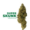 SUPER SKUNK  | <b>GREENHOUSE</b>