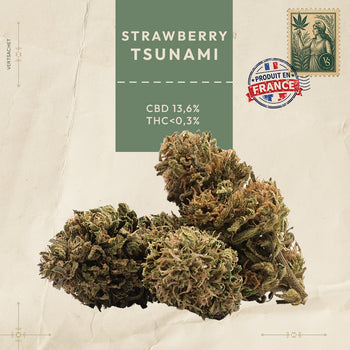 STRAWBERRY TSUNAMI