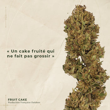 FRUIT CAKE