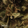 SUVER HAZE