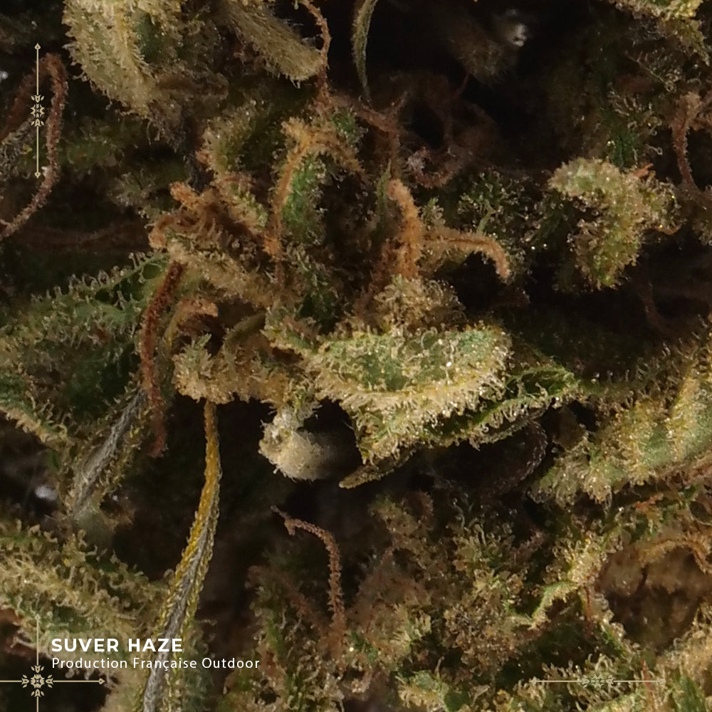 SUVER HAZE