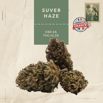 SUVER HAZE