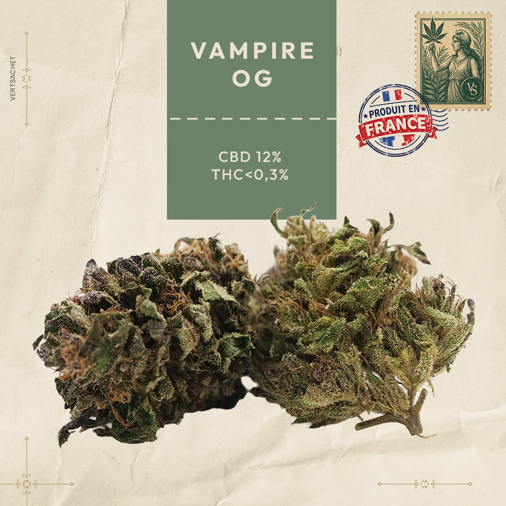 Vampire Og