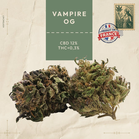Vampire Og
