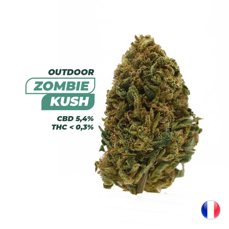 OUTDOOR | <b>Zombie Kush</b>