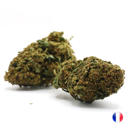 OUTDOOR | <b>Zombie Kush</b>