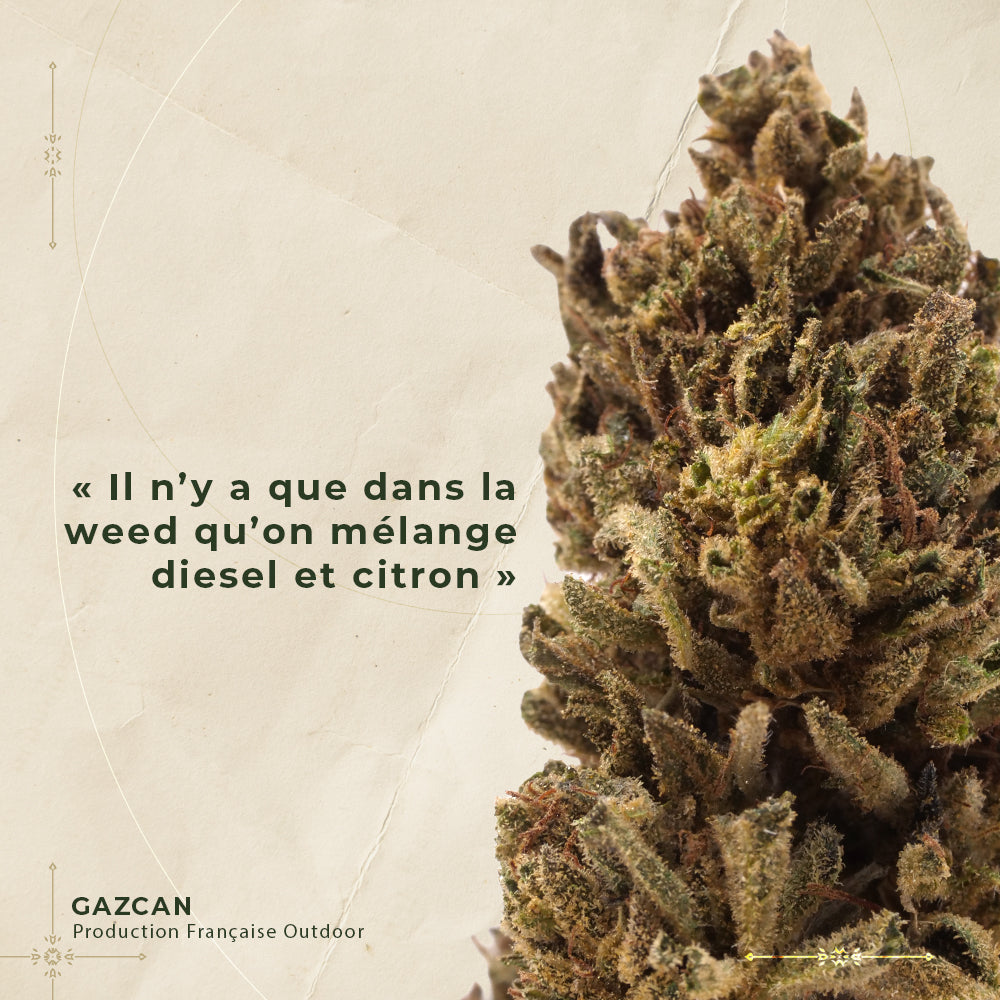 GAZCAN