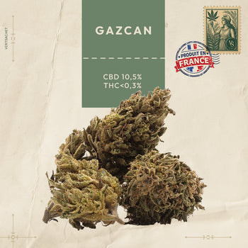 GAZCAN