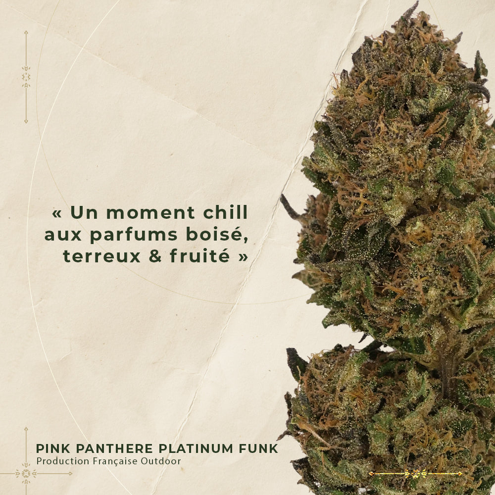 PINK PANTHERE PLATINUM FUNK